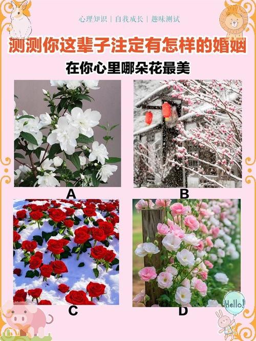 婚姻测试姻缘缩略图