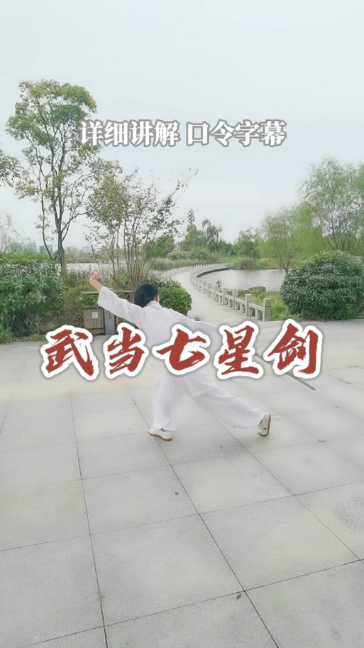 武当七星剑剑谱免费图标