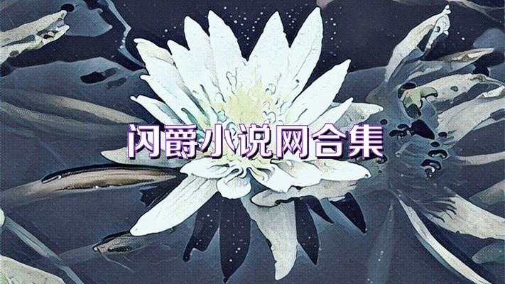 闪爵小说缩略图