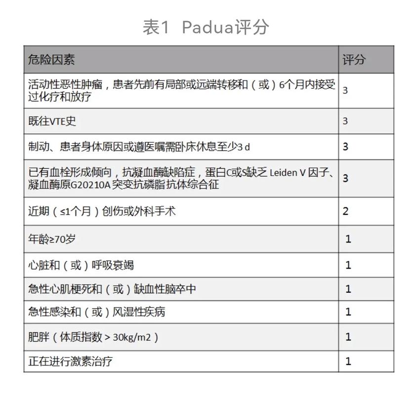 酷狗十级相当于网易云几级缩略图