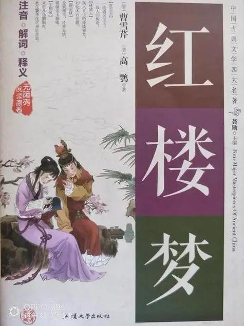红楼梦哪个软件可以看