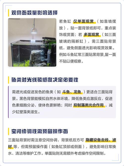 鱼缸贴一面还是三面好缩略图