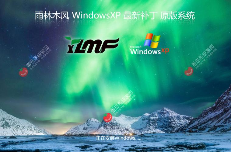 纯净版XP系统图标