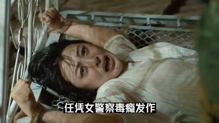 极品卧底女警沦陷毒枭的小说