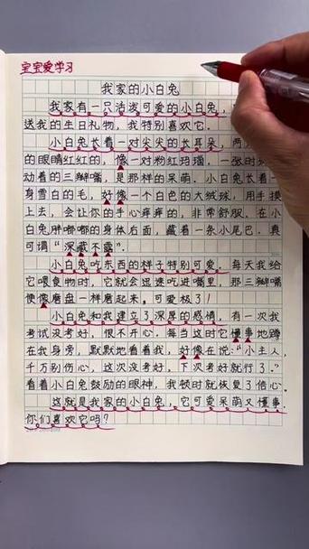 小白兔作文缩略图