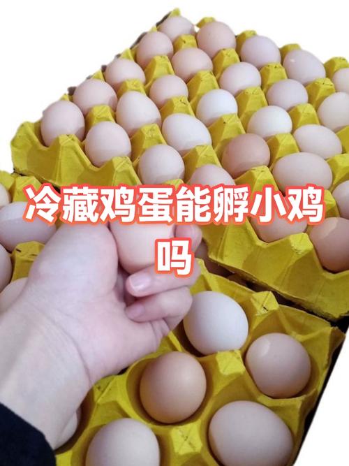 冰块小鸡砸鸡蛋的游戏图标