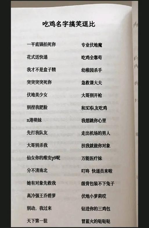吃鸡个性id名字大全缩略图