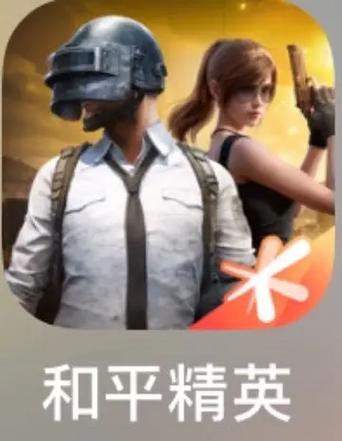 地球人刺激战场国际服下载缩略图