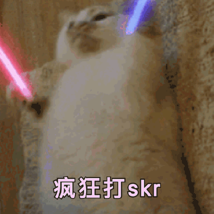 猫咪打call表情包游戏截图