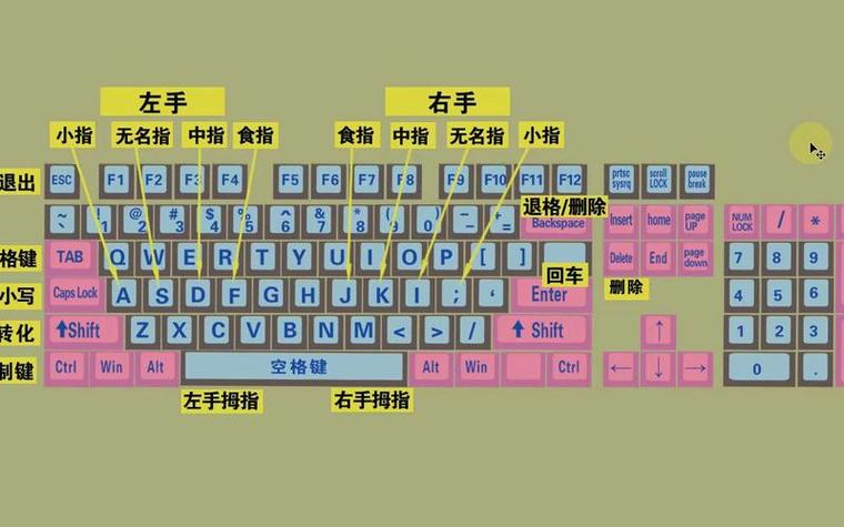 极品五笔和极点五笔缩略图
