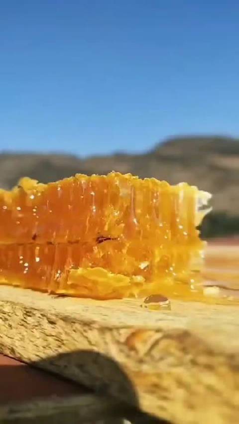 蜂蜜视频缩略图