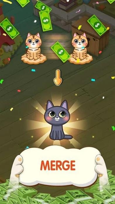 猫咪3.2.1缩略图
