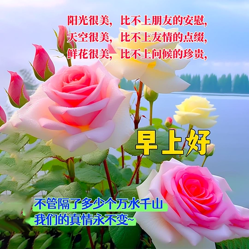 心意满满的祝福语缩略图