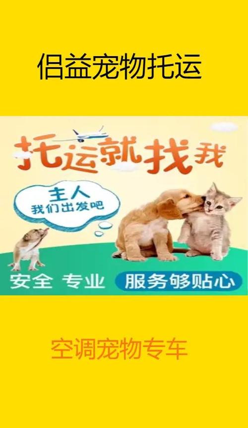 右键没有快捷方式游戏截图