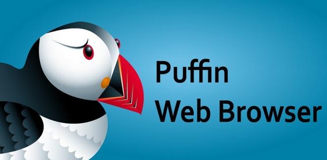 puffin浏览器海外版游戏截图