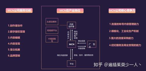 达人和mcn机构是什么意思缩略图