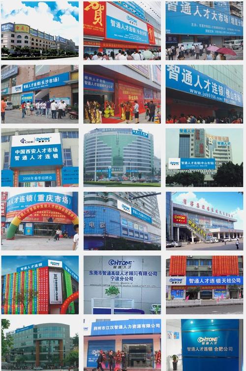智通人才网游戏截图