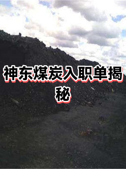 神东正式员工待遇图标