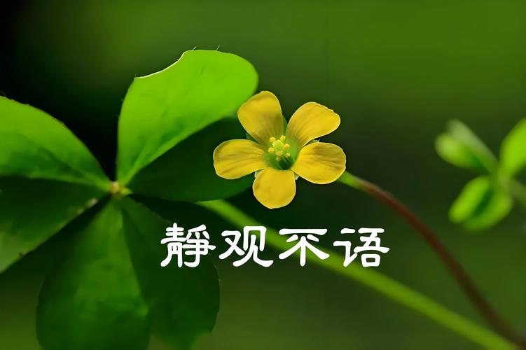 华为p30能听声音屏幕不亮