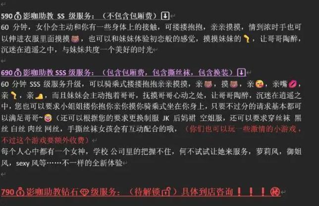 私影大概价格图标