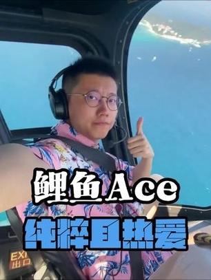 鲤鱼怎么不更新视频了