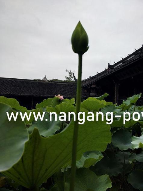 百度口袋影院缩略图