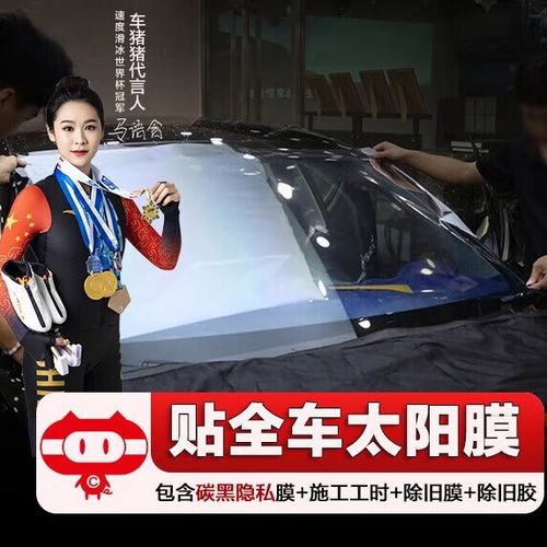 窗膜贴膜教程视频游戏截图