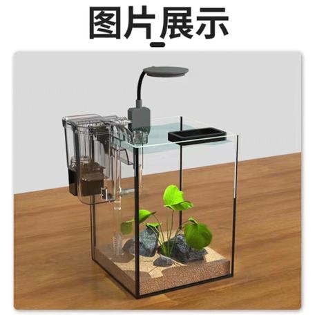 22厘米迷你水族箱图标