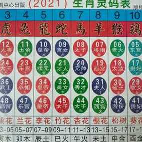 十二生肖排老大打一肖