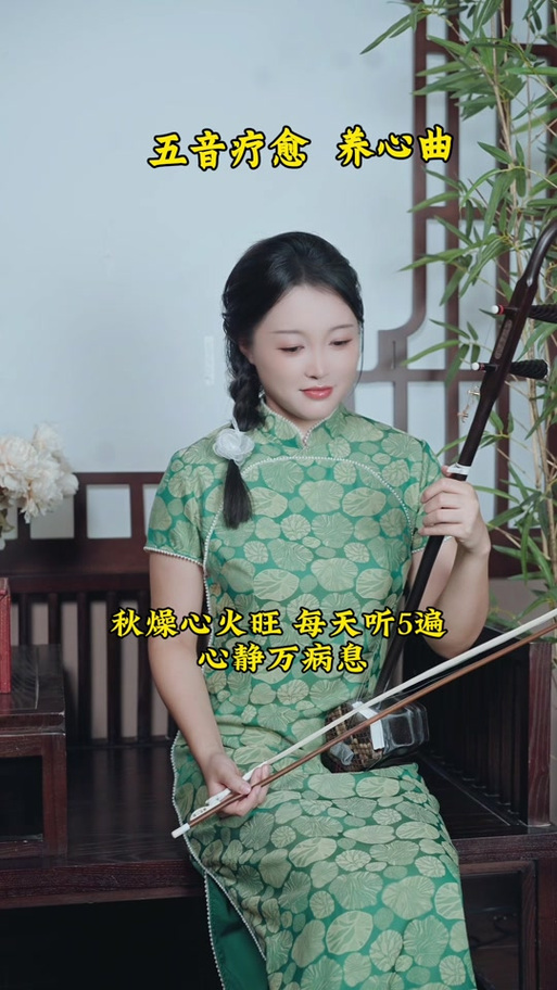 养心曲二胡简谱图标