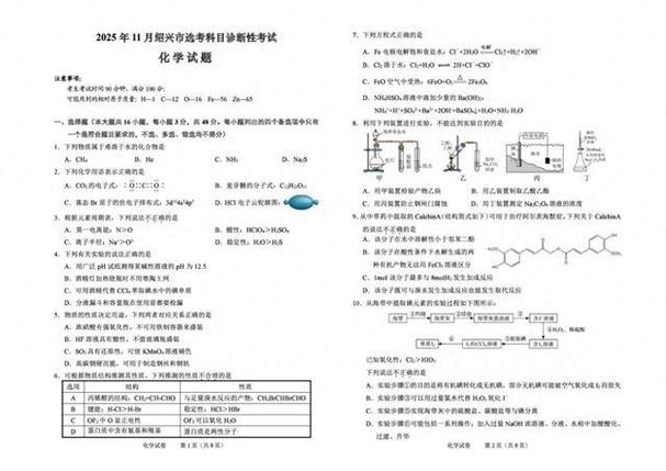 试卷真题网站免费缩略图