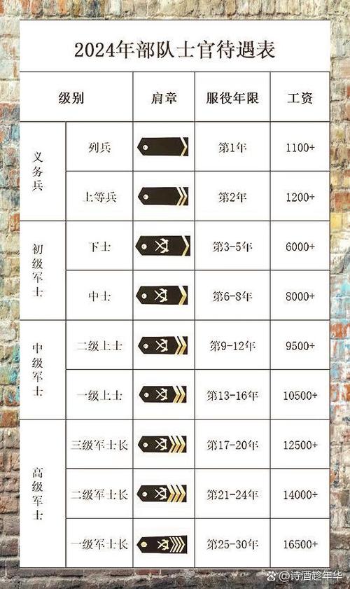 军士级别一览表游戏截图