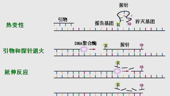 热力地图图标