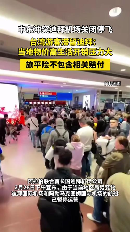 现在去迪拜有风险吗游戏截图