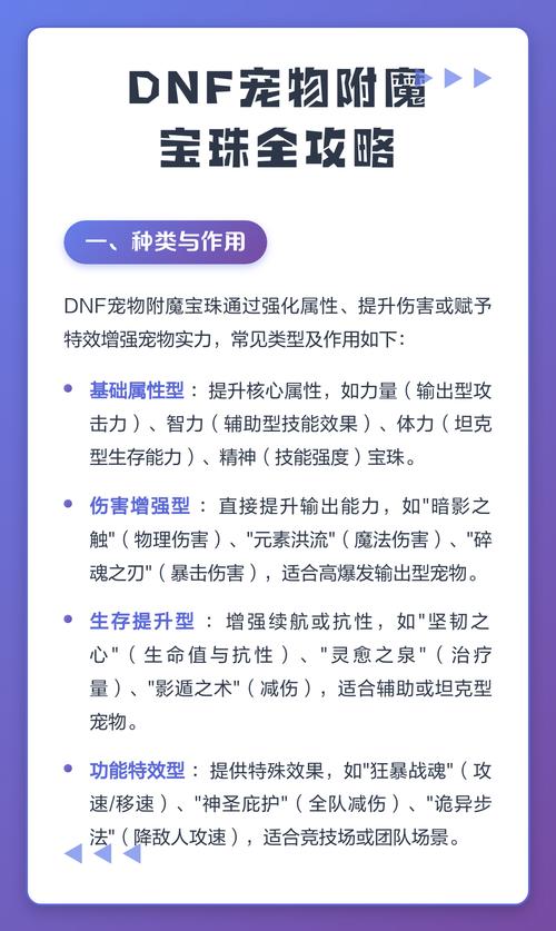 2024年套宠物附魔宝珠叫什么
