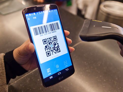 支付宝网页扫码支付游戏截图