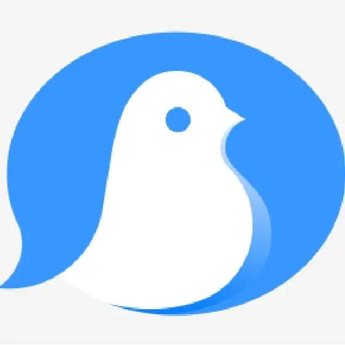 飞鸽聊天app游戏截图