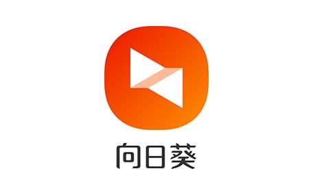 向日葵远程控制软件什么是访问密码缩略图