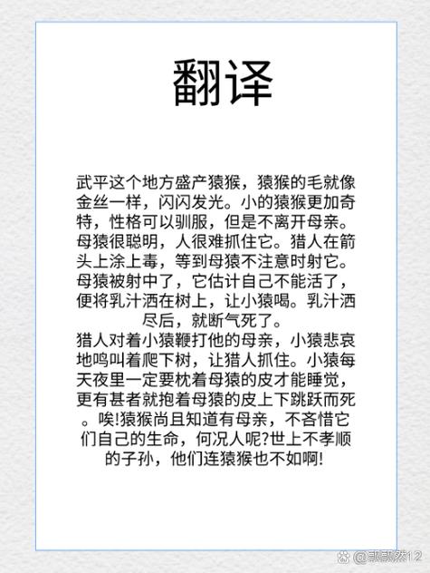 翻译成文言文在线翻译器游戏截图
