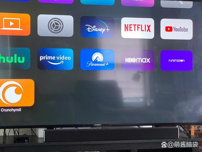 海外电视TV版下载缩略图