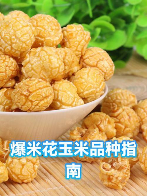 爆裂玉米有害吗图标