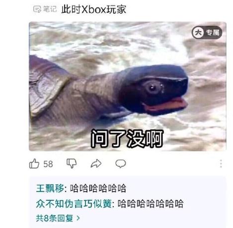 没有出现这种情况啊缩略图
