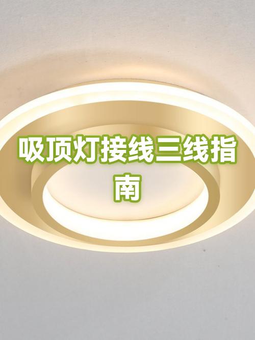 感应吸顶灯怎样接线游戏截图