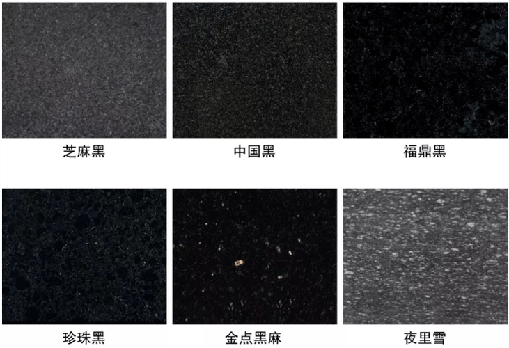 黑色种类