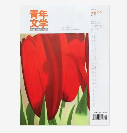 青年文学杂志缩略图