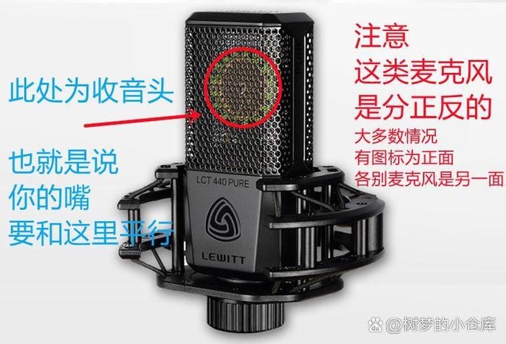 麦克风十大品牌排行榜游戏截图