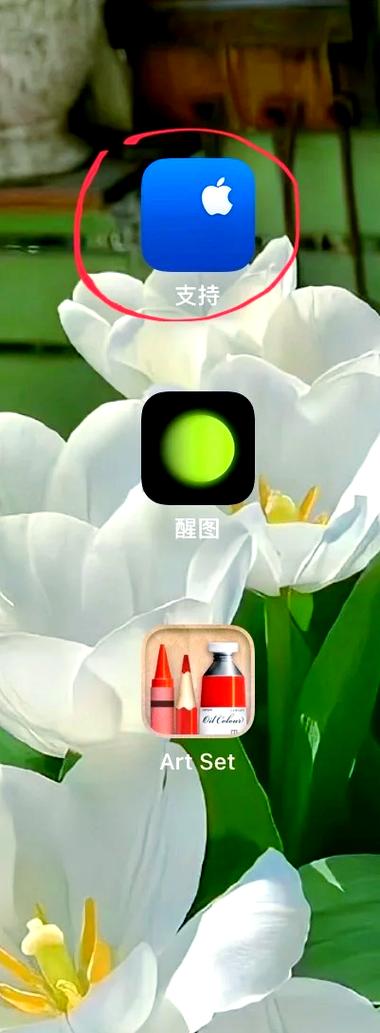 怎么查ipad的电池健康
