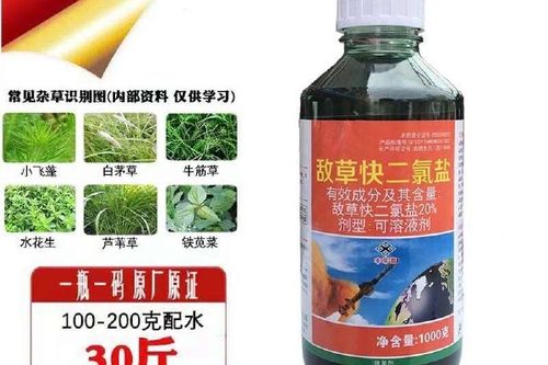 百草快除草剂游戏截图