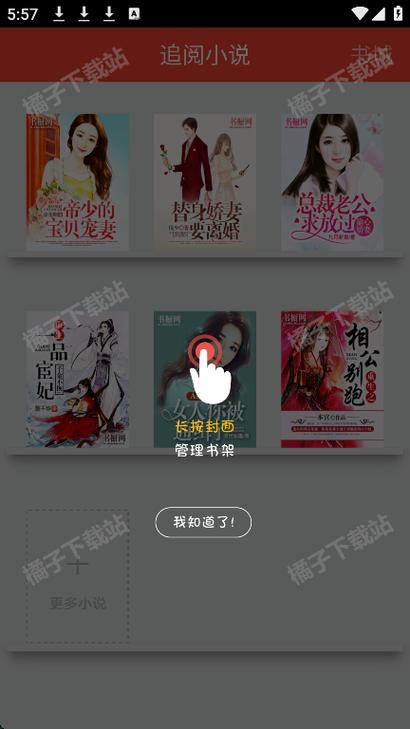 追阅免费阅读小说下载缩略图