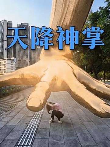 掌视频